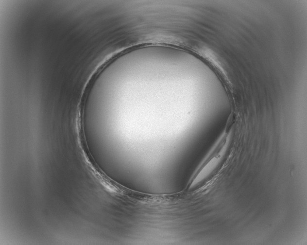 X0000073521040200608140955