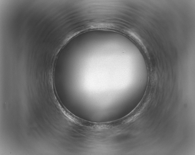 X0000073521041200608140955