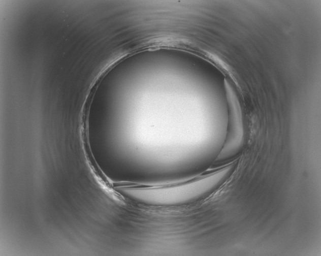 X0000073521042200608140955