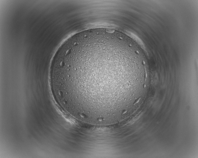 X0000073521043200608140955