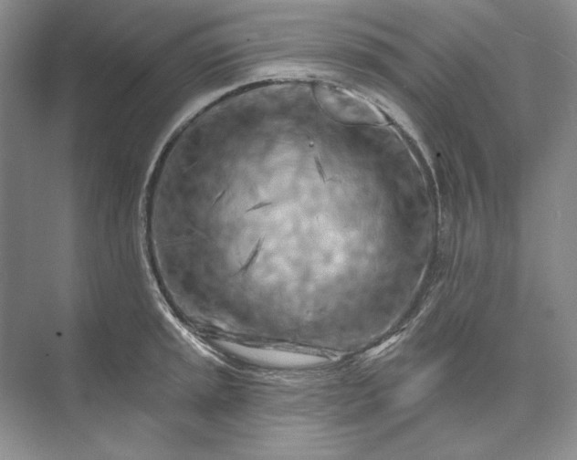 X0000073521045200608140955