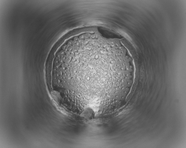 X0000073521047200608140955