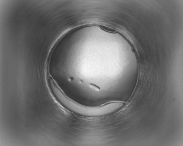 X0000073521048200608140955