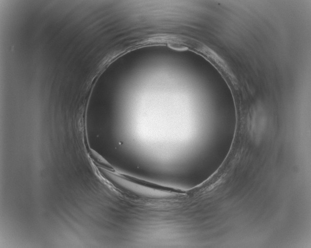 X0000073521049200608140955