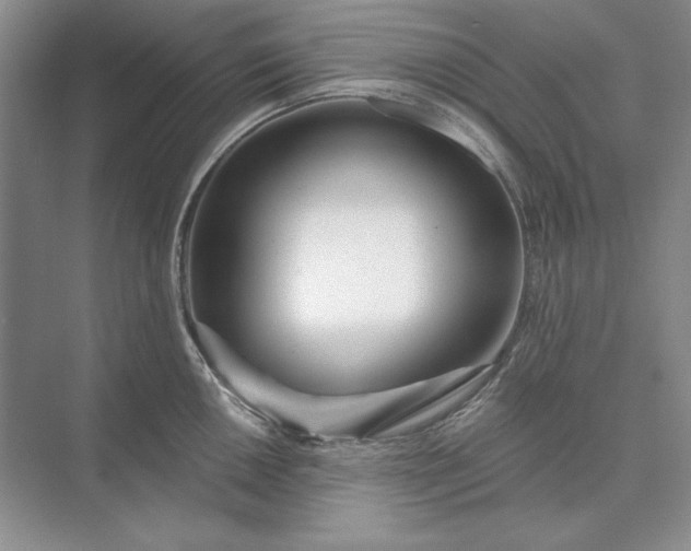 X0000073521050200608140955