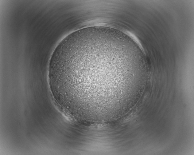 X0000073521051200608140955