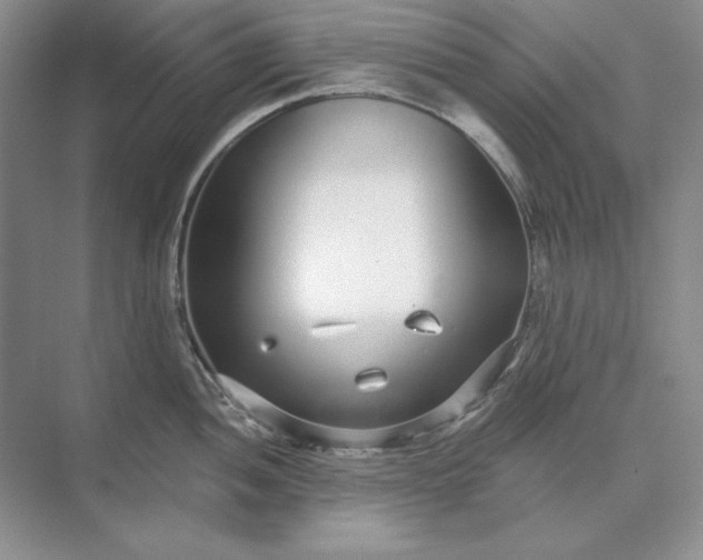 X0000073521052200608140955