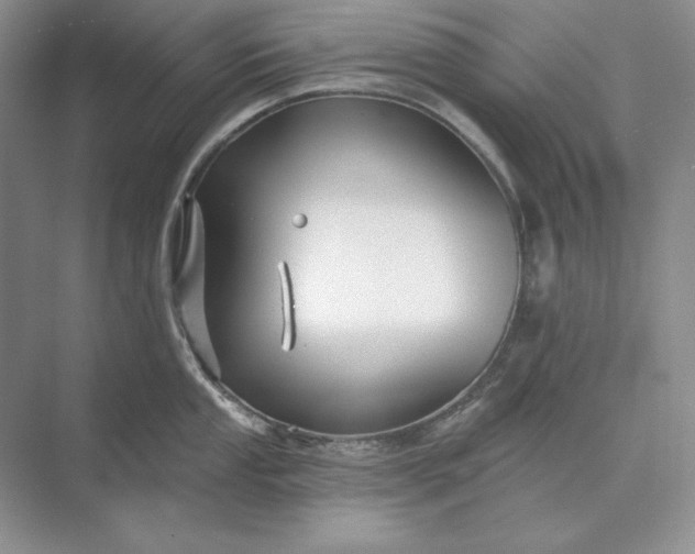 X0000073521053200608140955