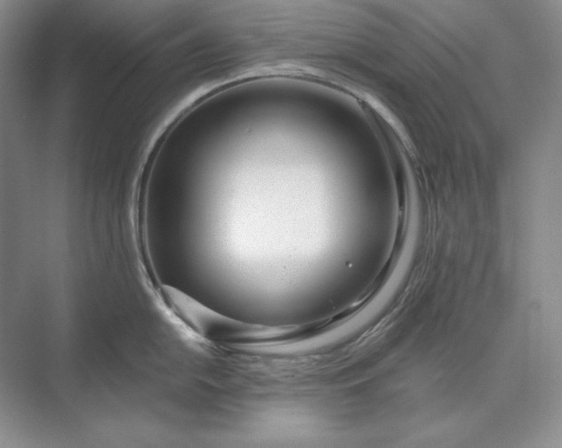 X0000073521054200608140955