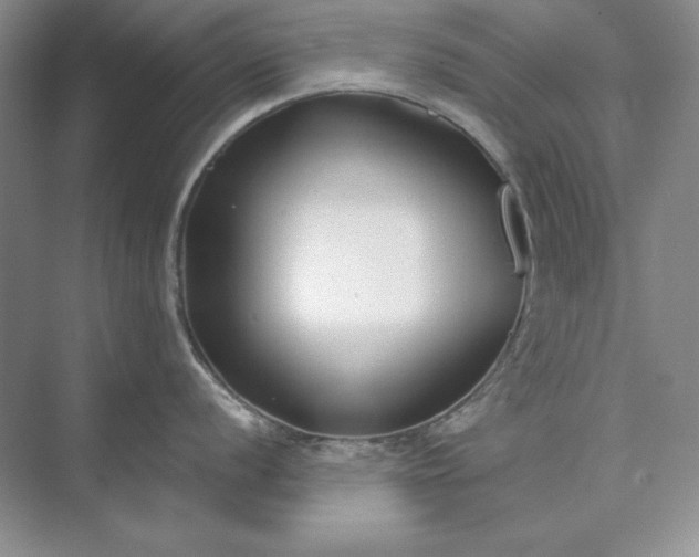 X0000073521056200608140955