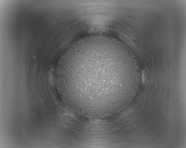 X0000073521059200608140954