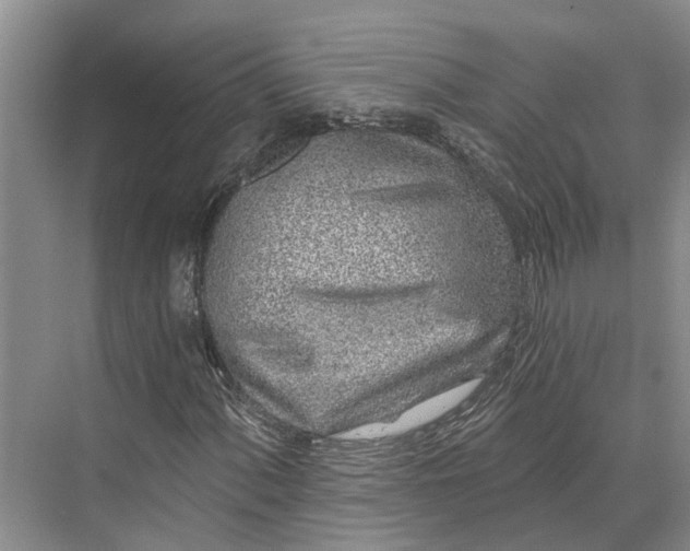 X0000073521060200608140954