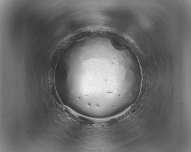 X0000073521063200608140954