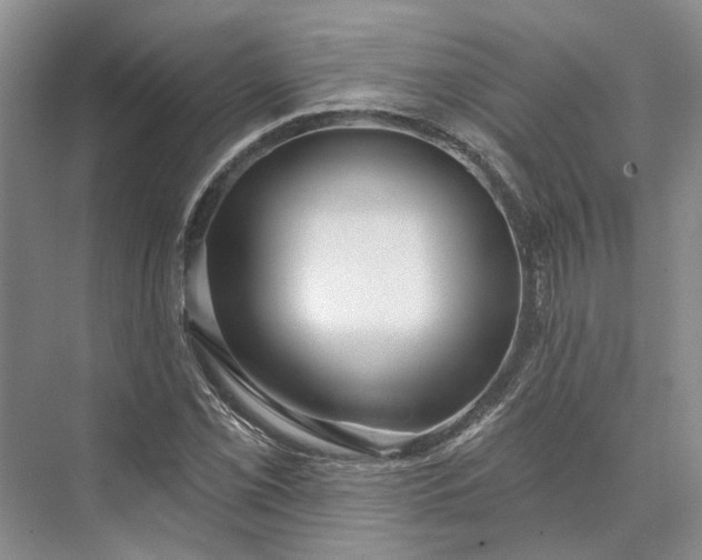 X0000073521069200608140954