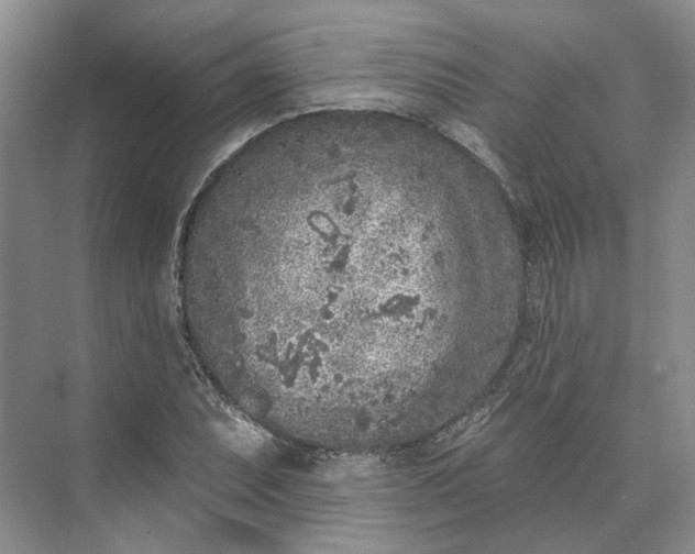 X0000073521071200608140954