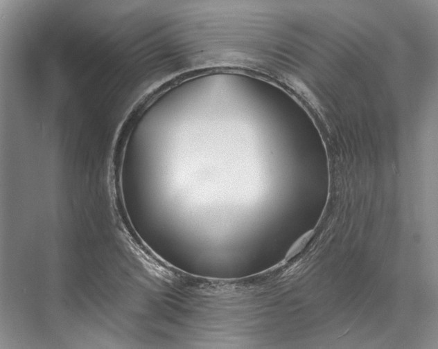 X0000073521072200608140954