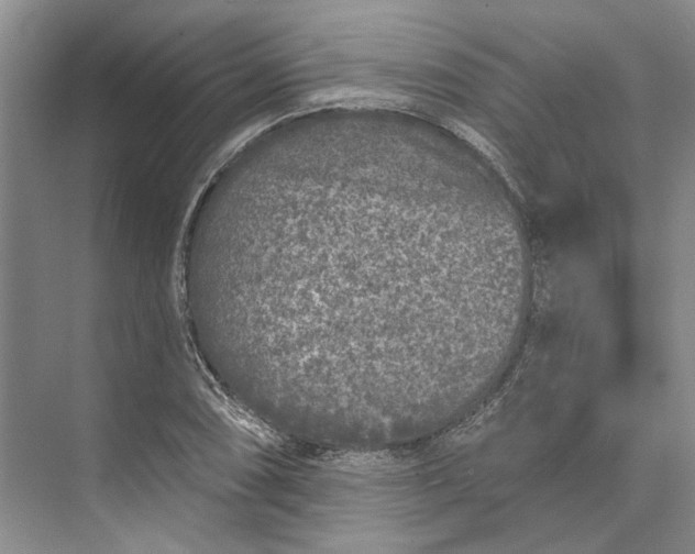 X0000073521074200608140954