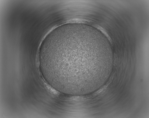 X0000073521075200608140954