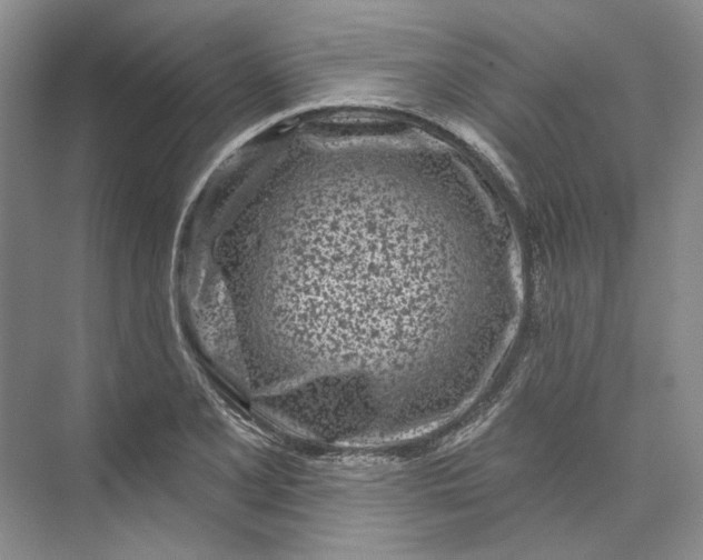 X0000073521077200608140954