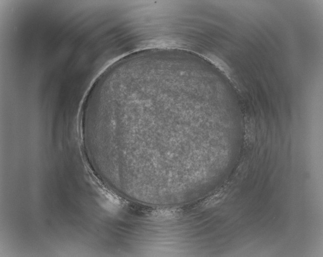 X0000073521078200608140954