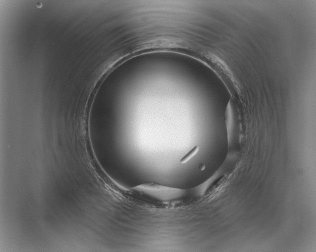 X0000073521081200608140954