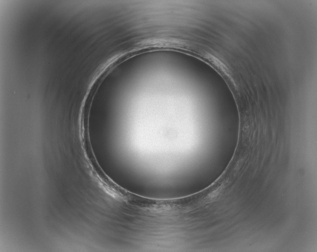 X0000073521082200608140954