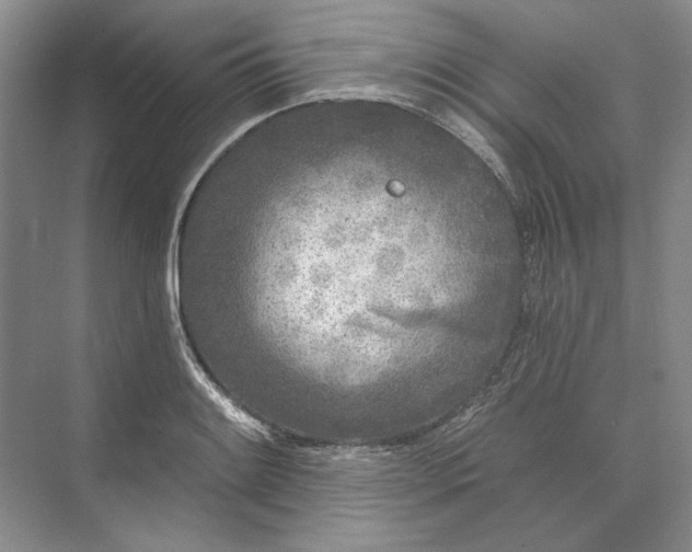 X0000073521084200608140954