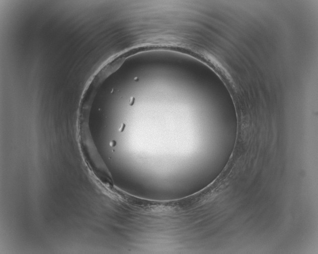 X0000073521085200608140954