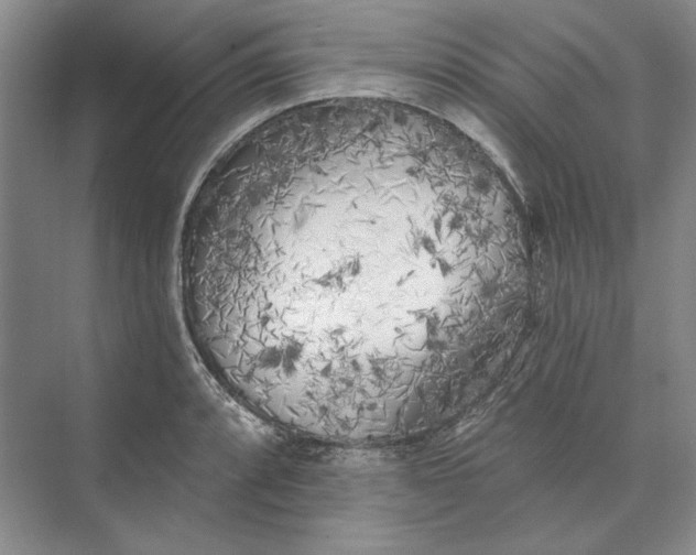 X0000073521088200608140954