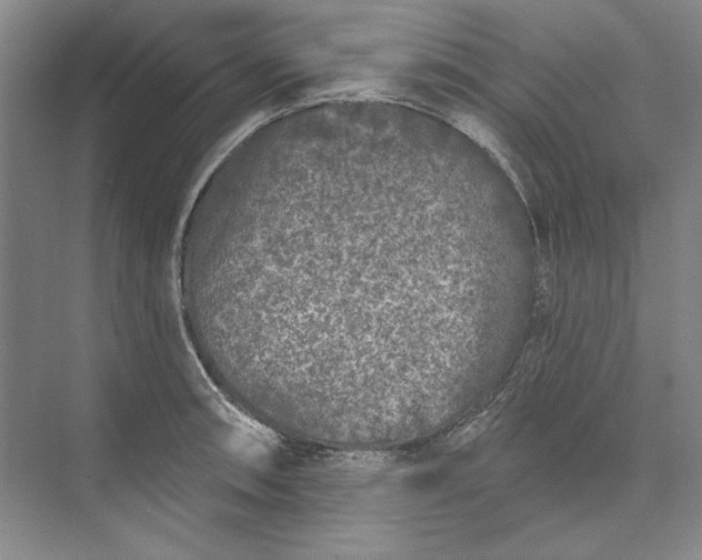 X0000073521090200608140954