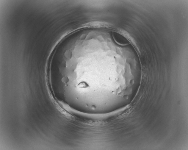 X0000073521091200608140954