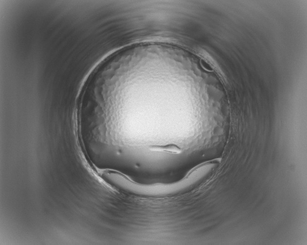 X0000073521092200608140954