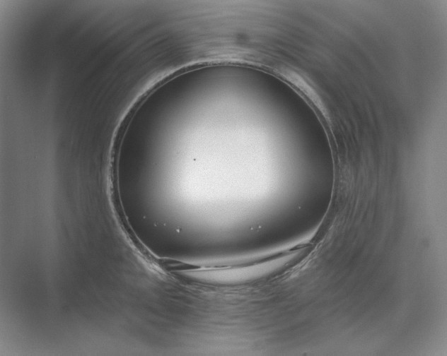 X0000073521093200608140954