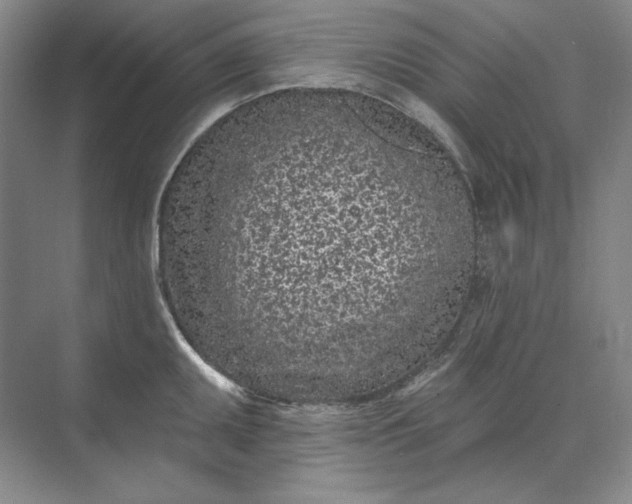 X0000073521095200608140954