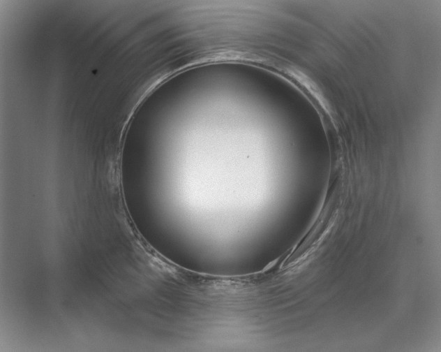 X0000073521097200608140954