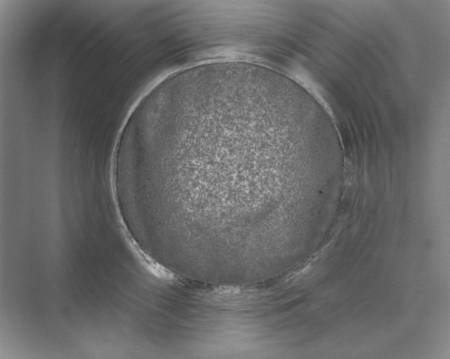 X0000073521098200608140954