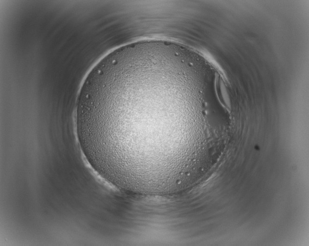 X0000073521100200608140954