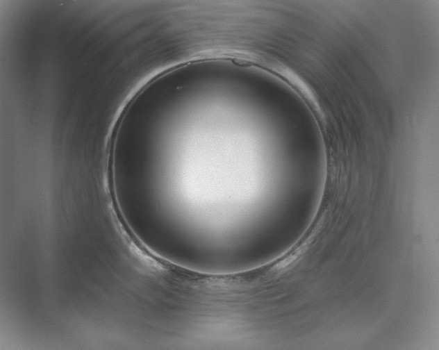 X0000073521102200608140953