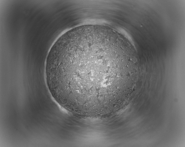 X0000073521103200608140953