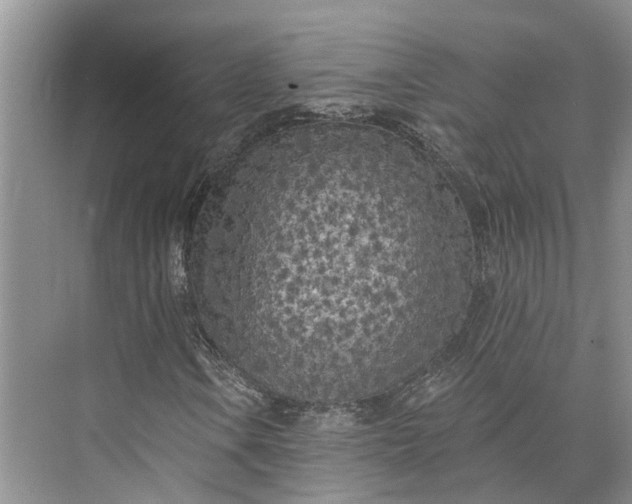 X0000073521106200608140953