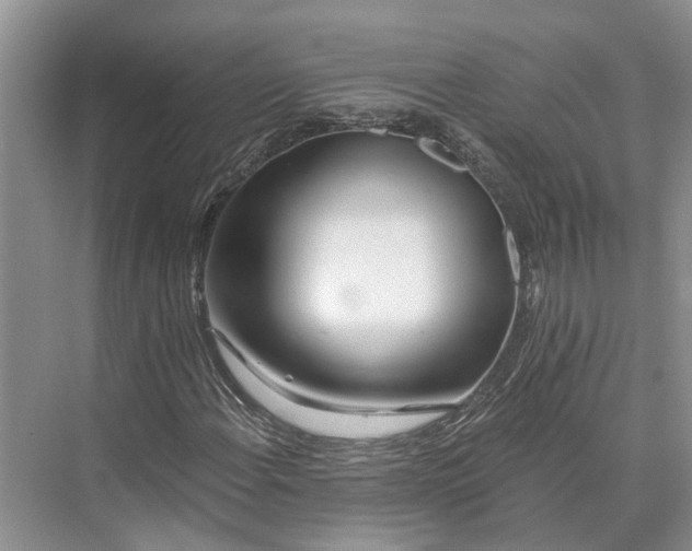 X0000073521108200608140953