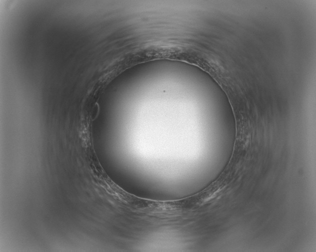 X0000073521109200608140953