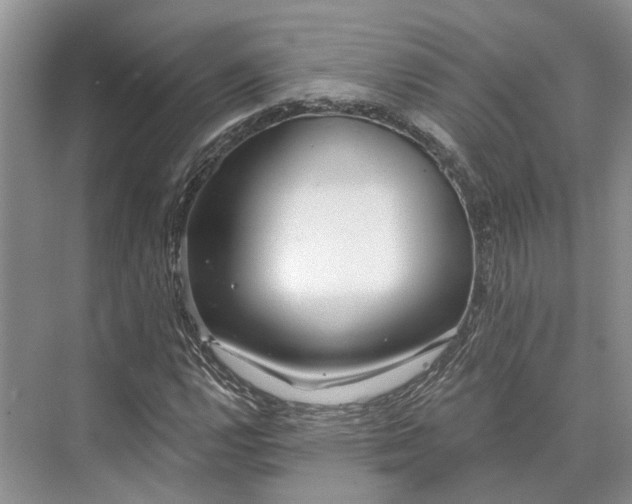 X0000073521112200608140953