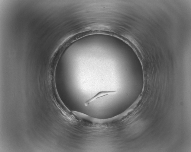 X0000073521115200608140953