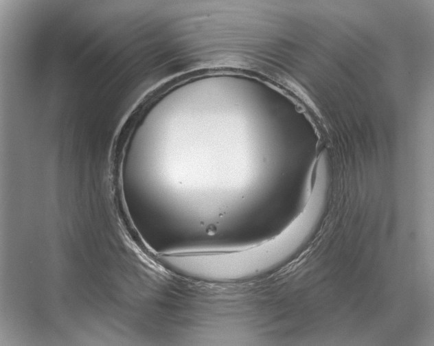 X0000073521116200608140953