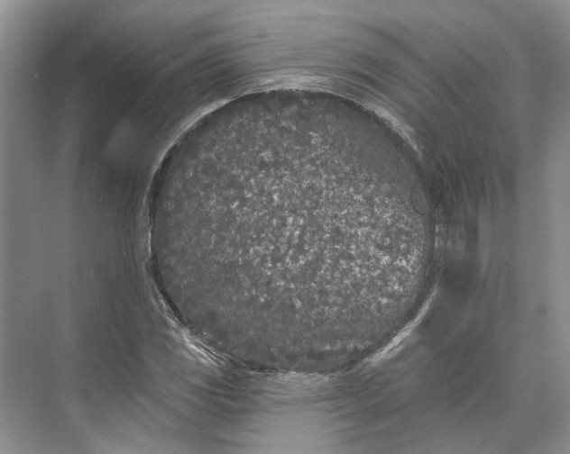 X0000073521117200608140953