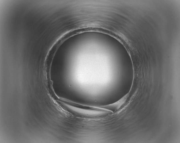 X0000073521118200608140953