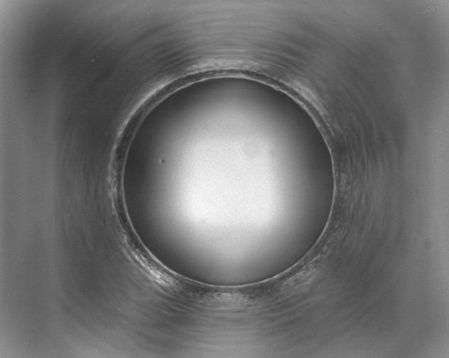 X0000073521119200608140953