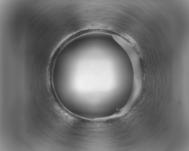 X0000073521120200608140953