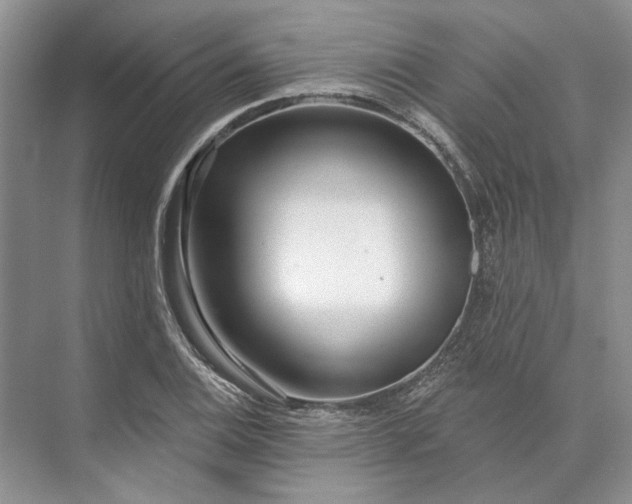 X0000073521124200608140953